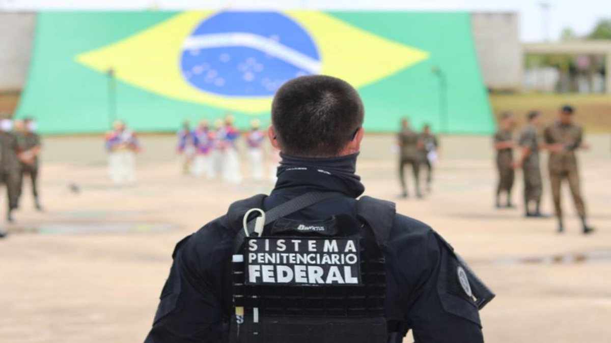 Rateio de cursos concursos públicos 2023 - Rateio Estrategia , Alfacon , Cers , Damasio , Ceisc, G7 , Damasio , Ceisc, Dedicação Delta 2023